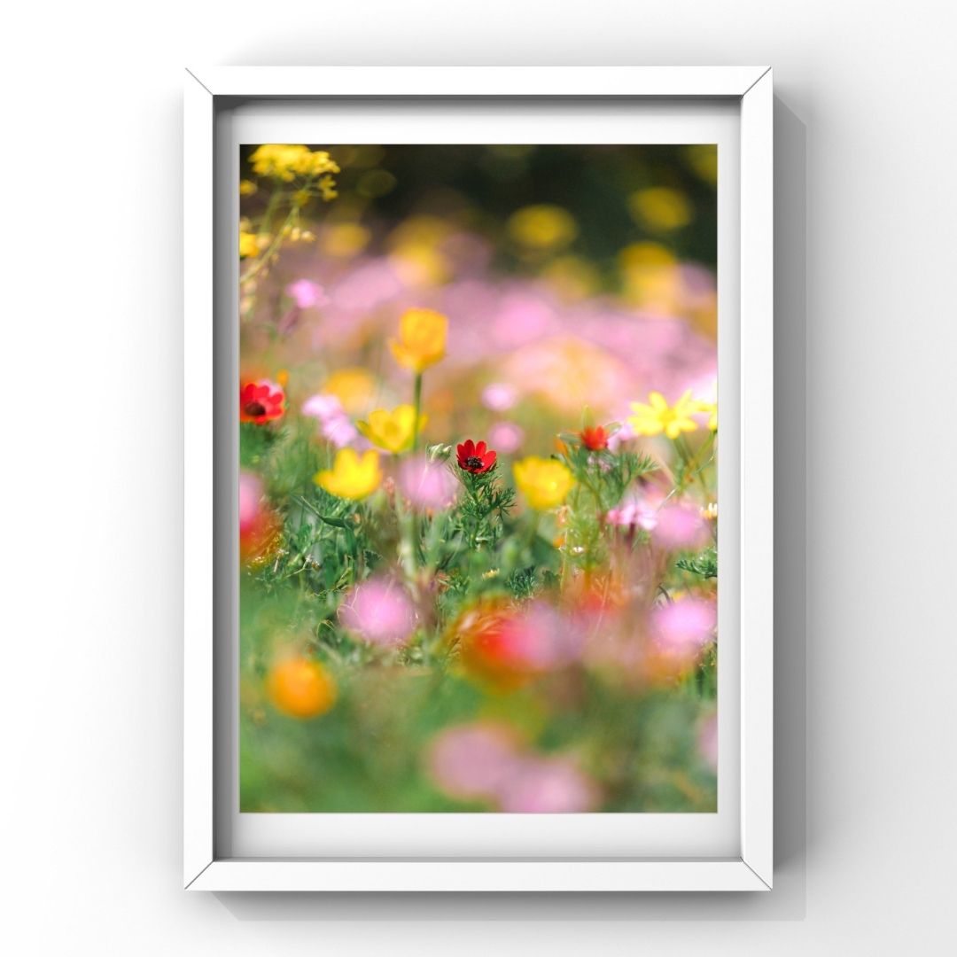 Levantine Kingdom of Tiny Flowers X