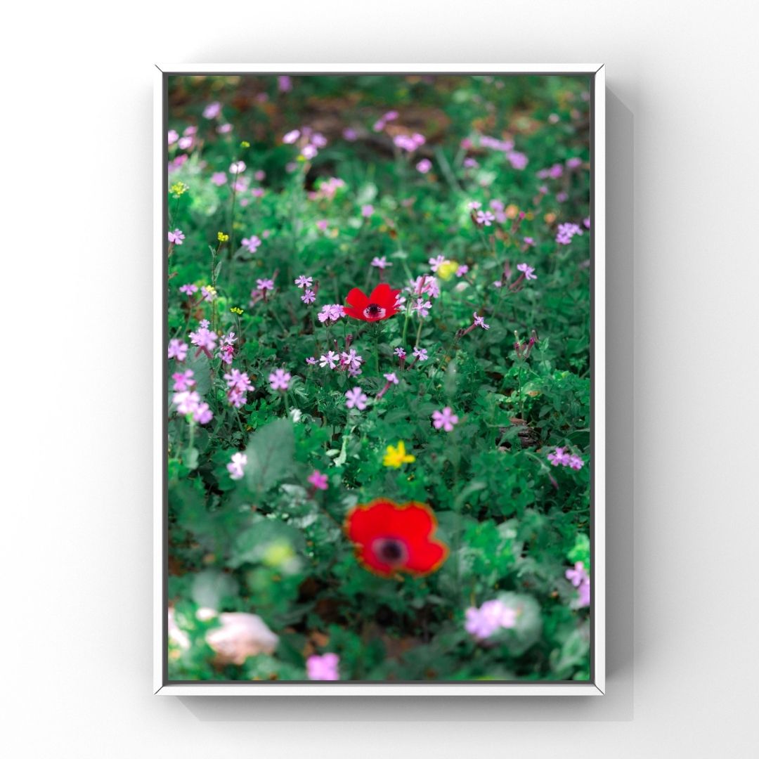 Levantine Kingdom of Tiny Flowers VII