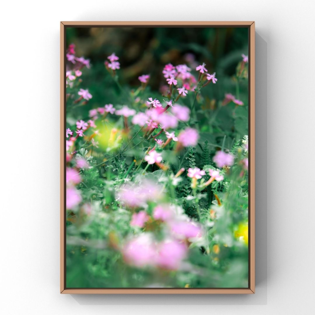 Levantine Kingdom of Tiny Flowers XIII