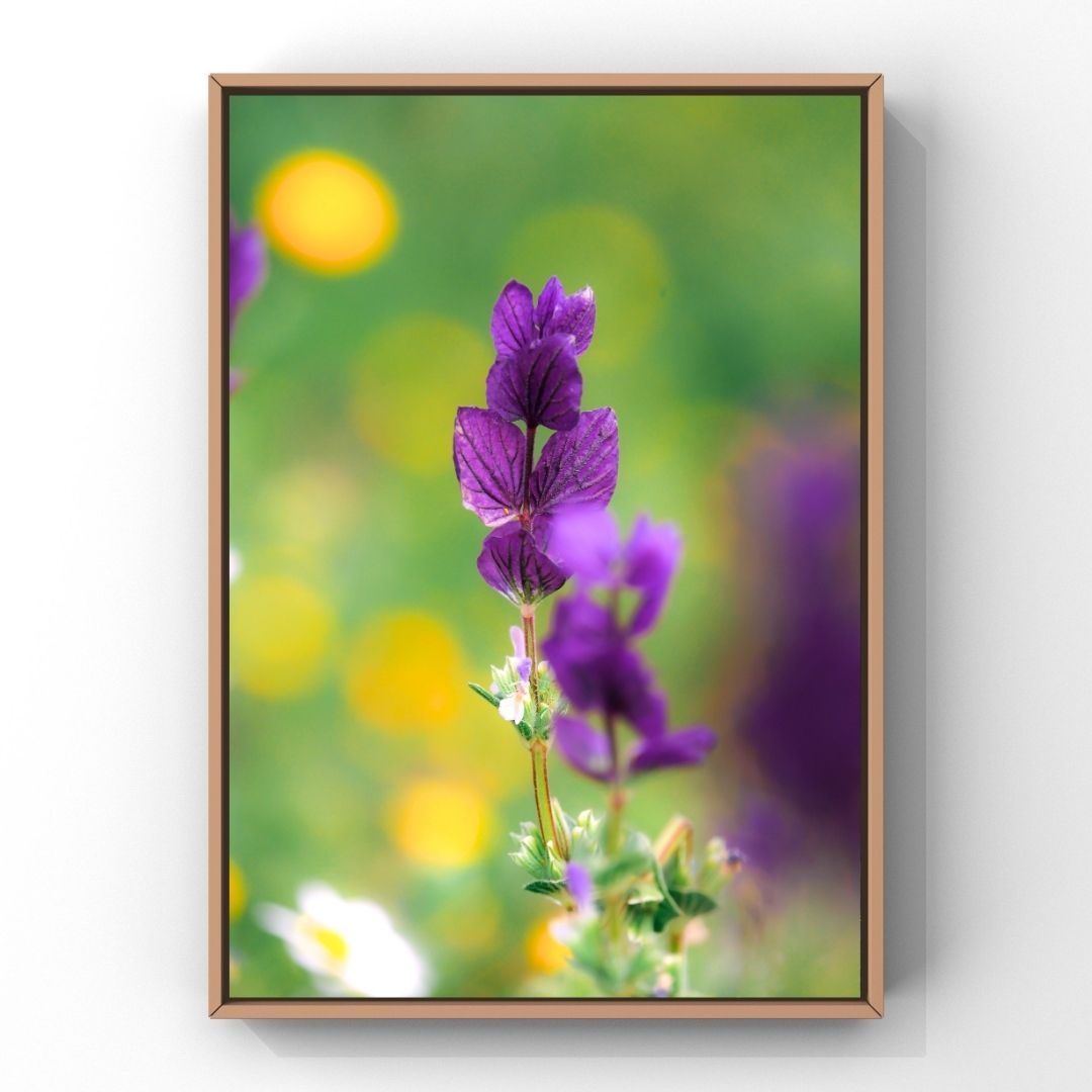Levantine Kingdom of Tiny Flowers III
