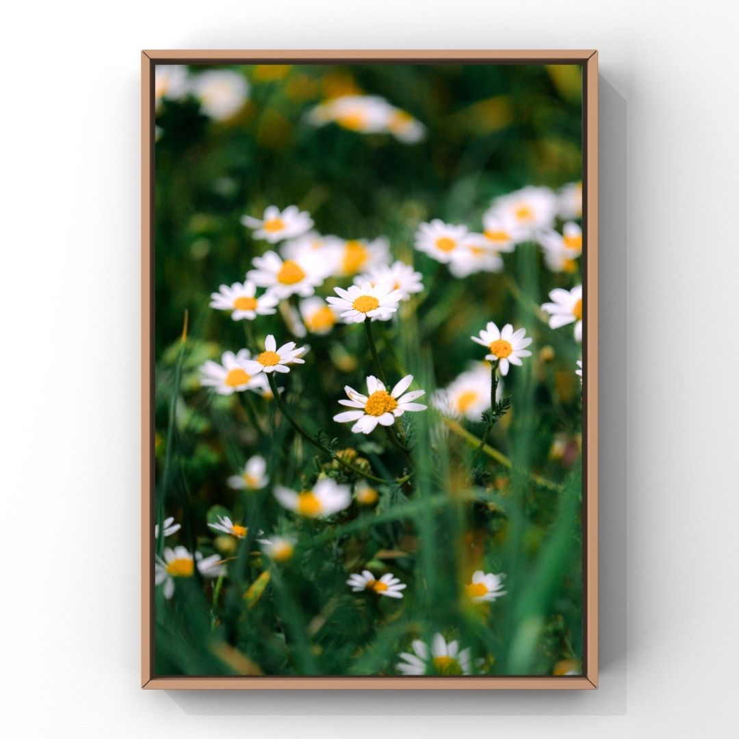 Levantine Kingdom of Tiny Flowers VI