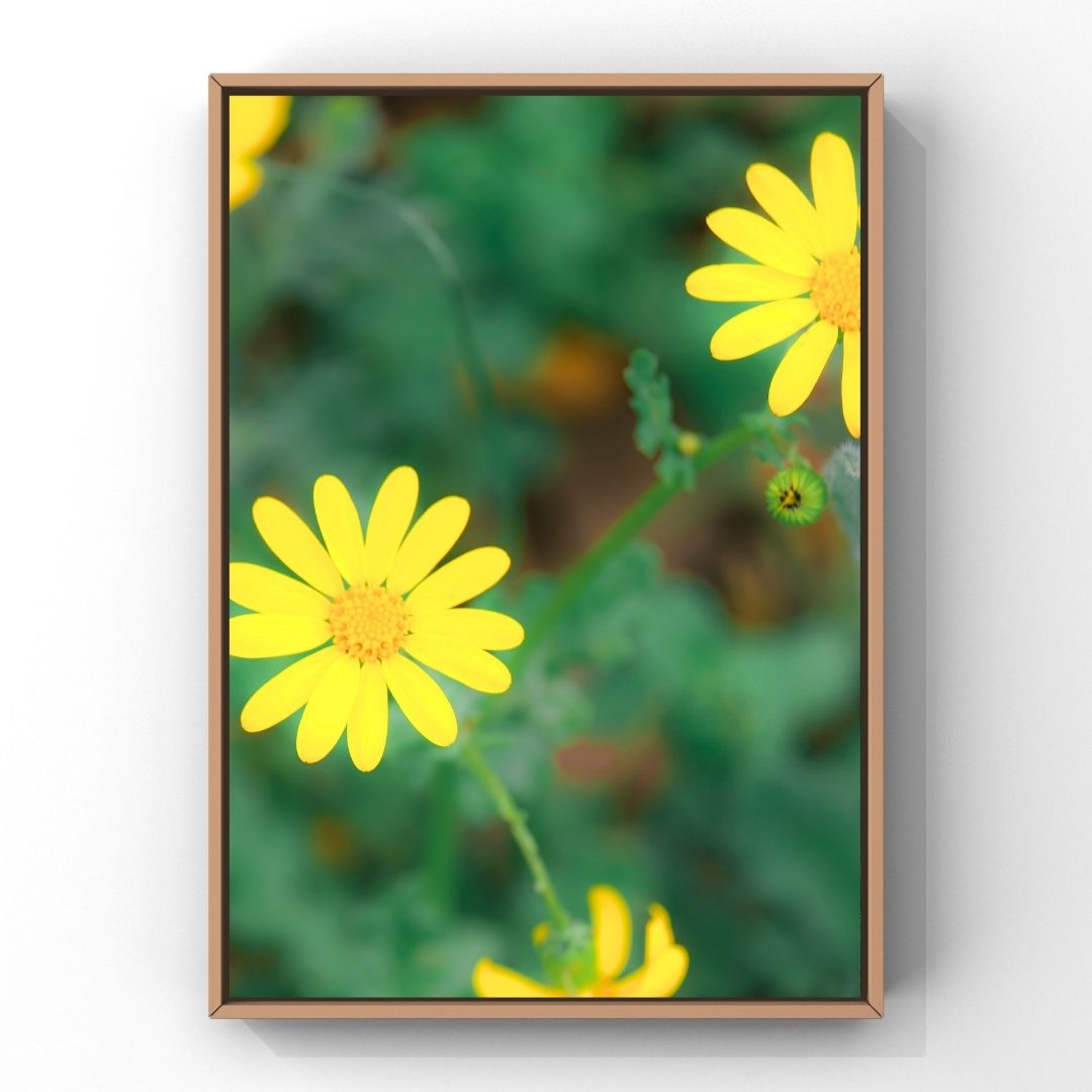 Levantine Kingdom of Tiny Flowers XIV