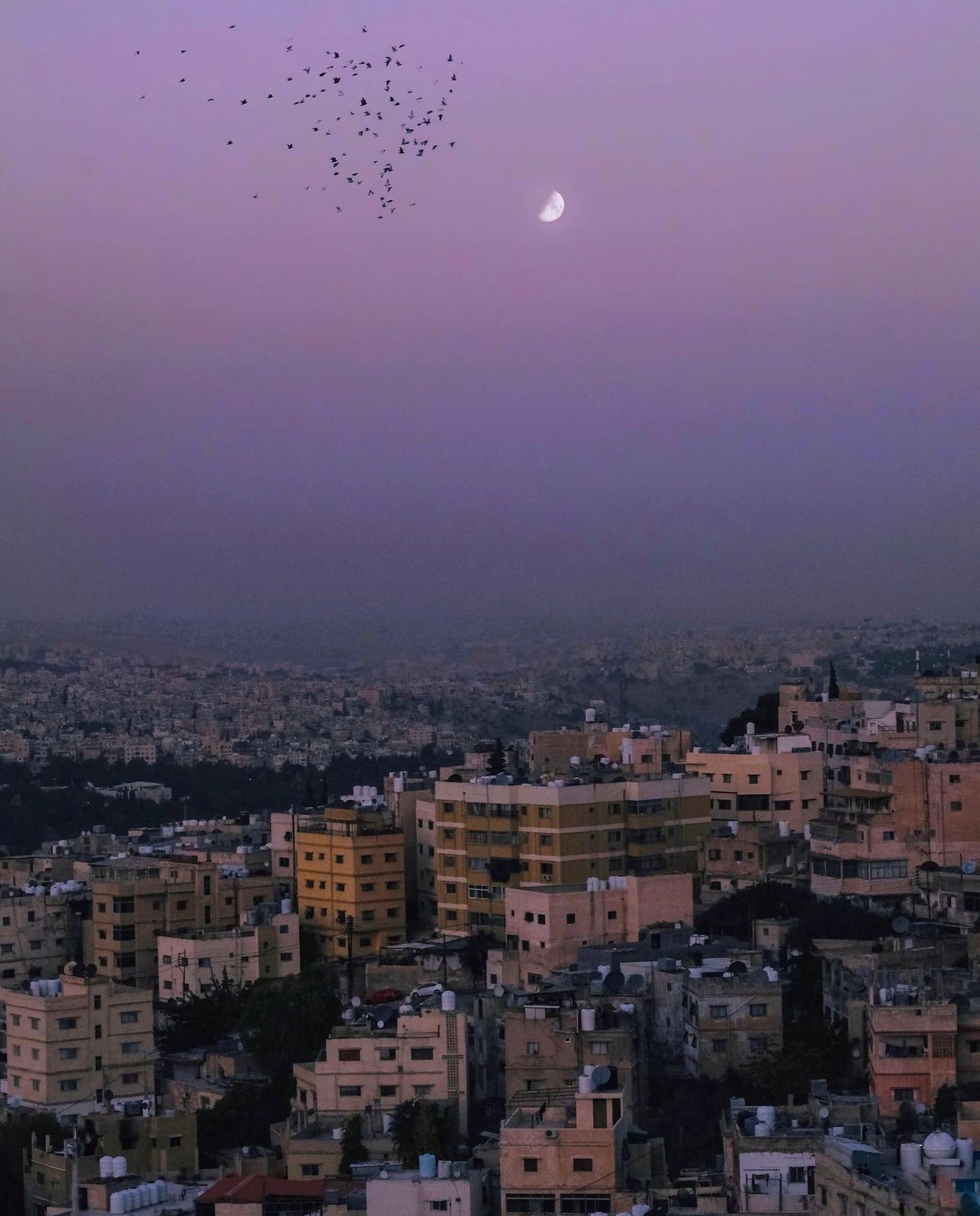 Is There Anybody Out There?