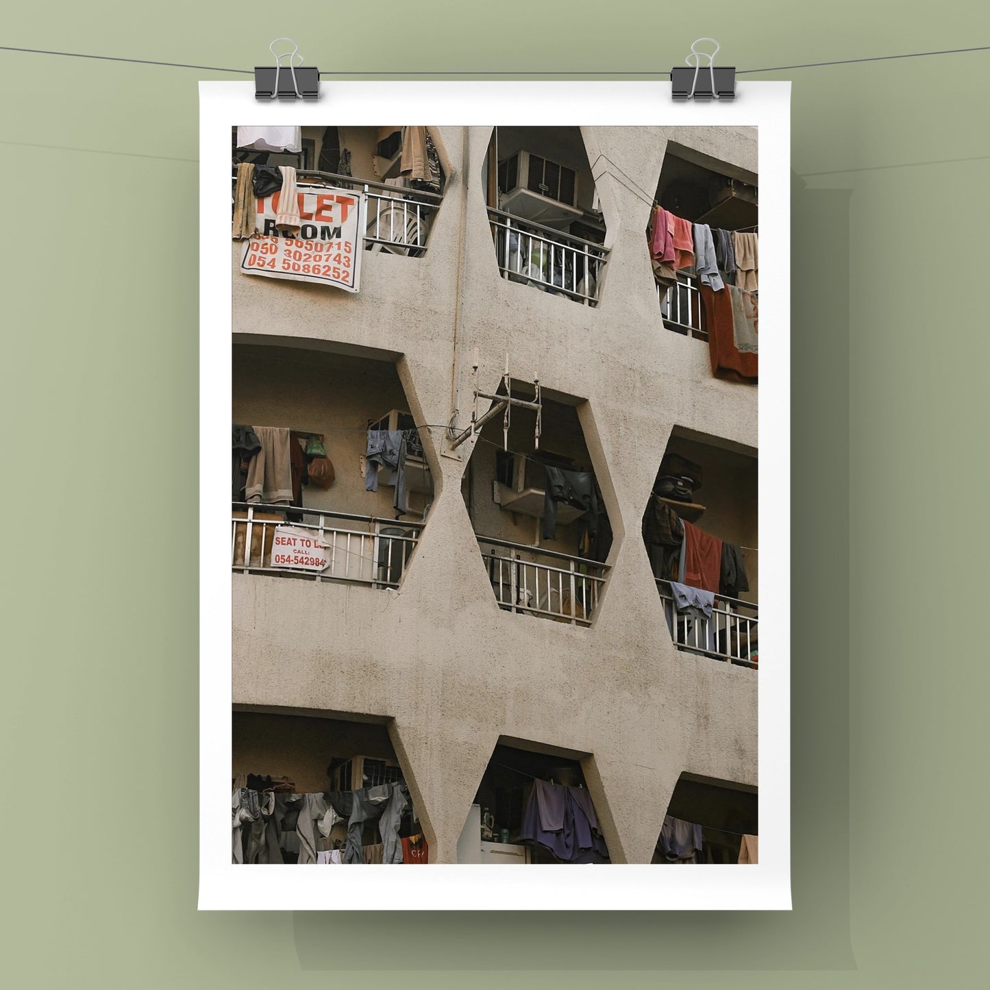 Window Hives in Old Dubai