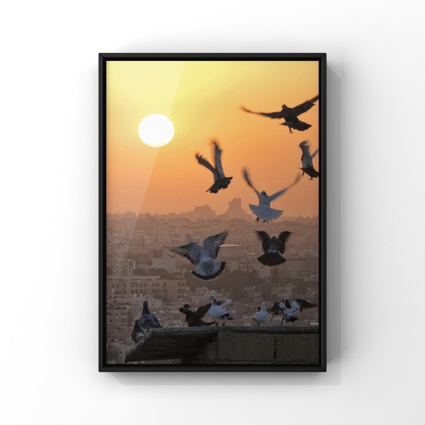 Sunset Dance - Amman