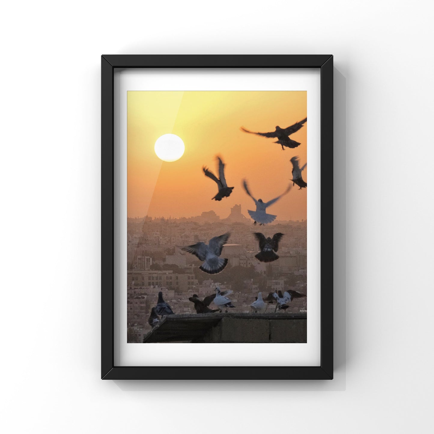 Sunset Dance - Amman