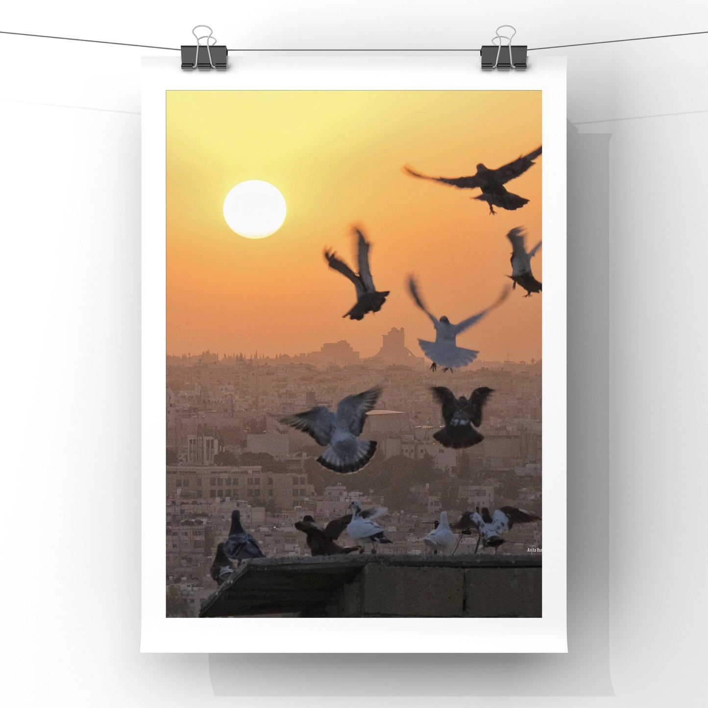 Sunset Dance - Amman