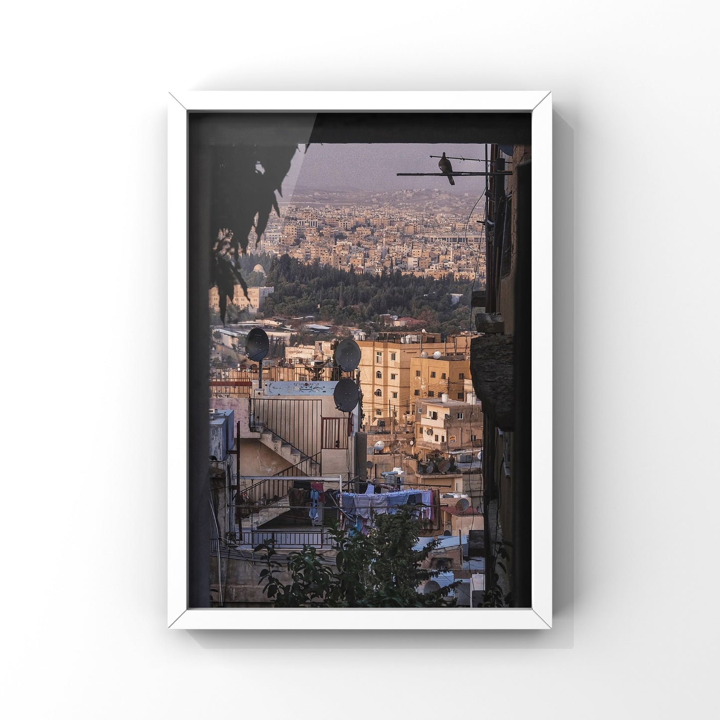 City And A Single Bird