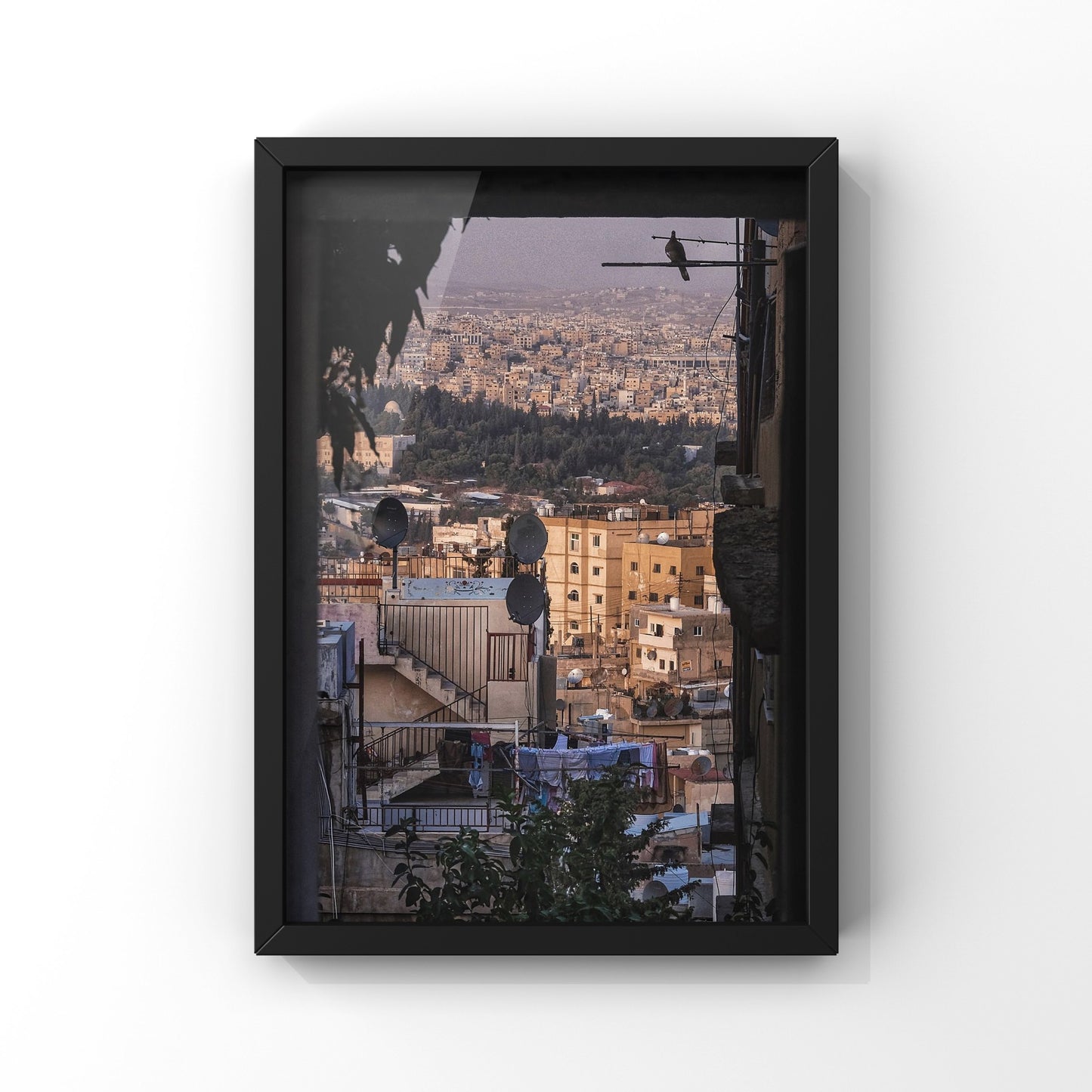 City And A Single Bird