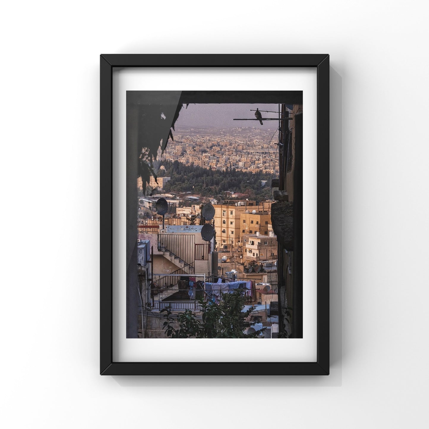 City And A Single Bird