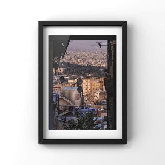 City And A Single Bird