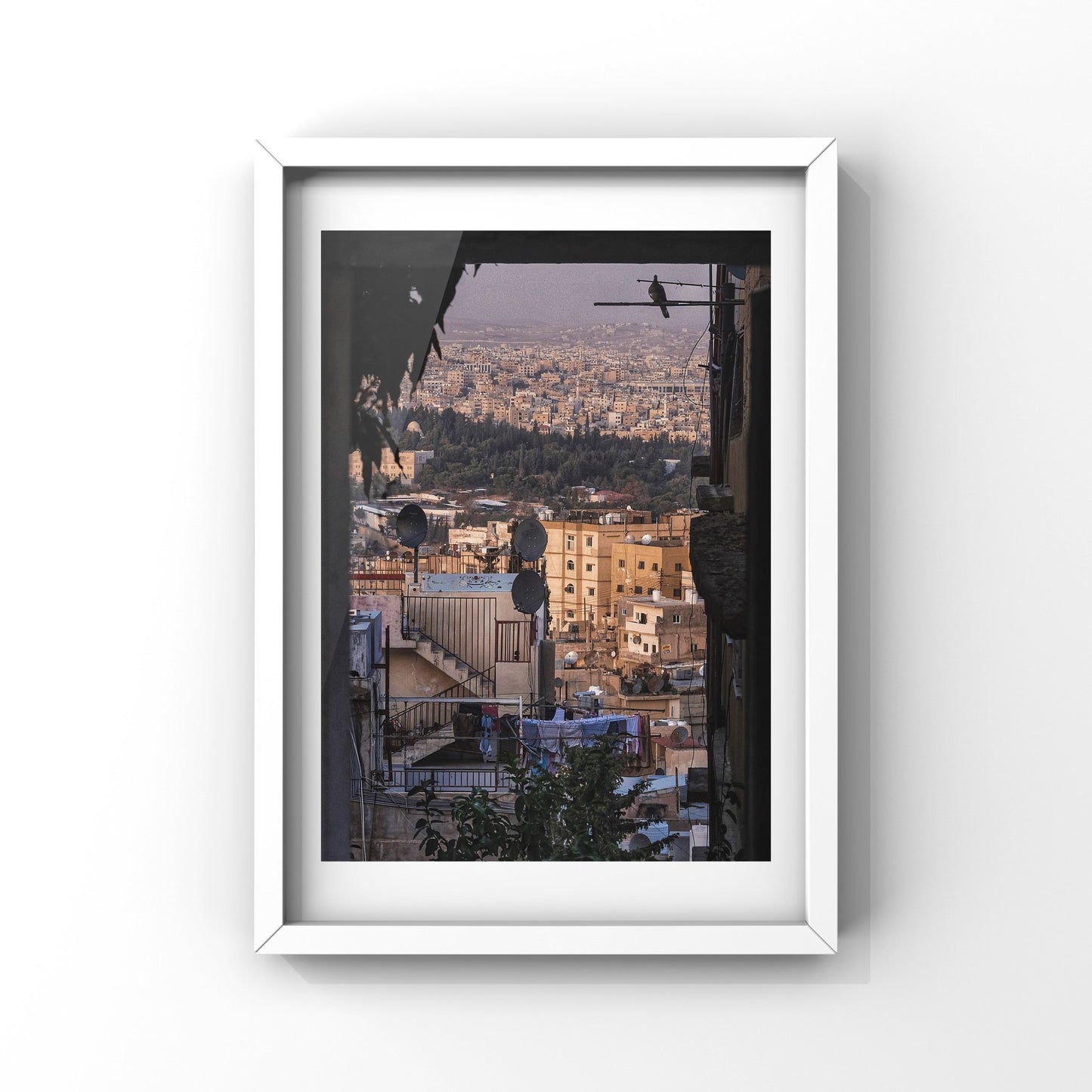 City And A Single Bird