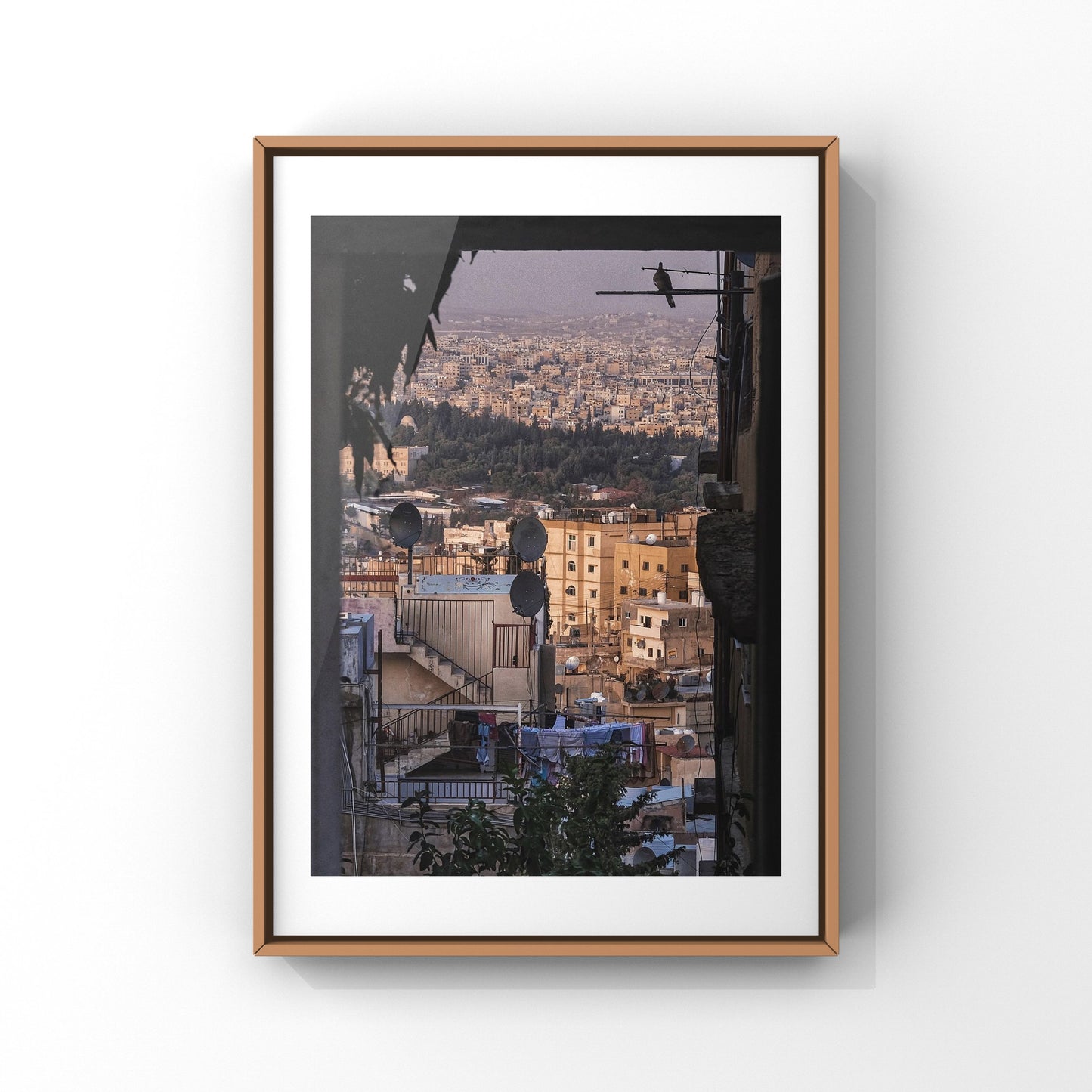 City And A Single Bird