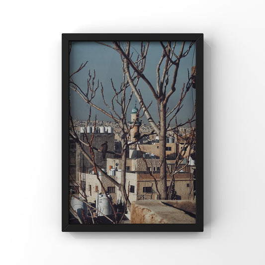 Hanging Above The Ground