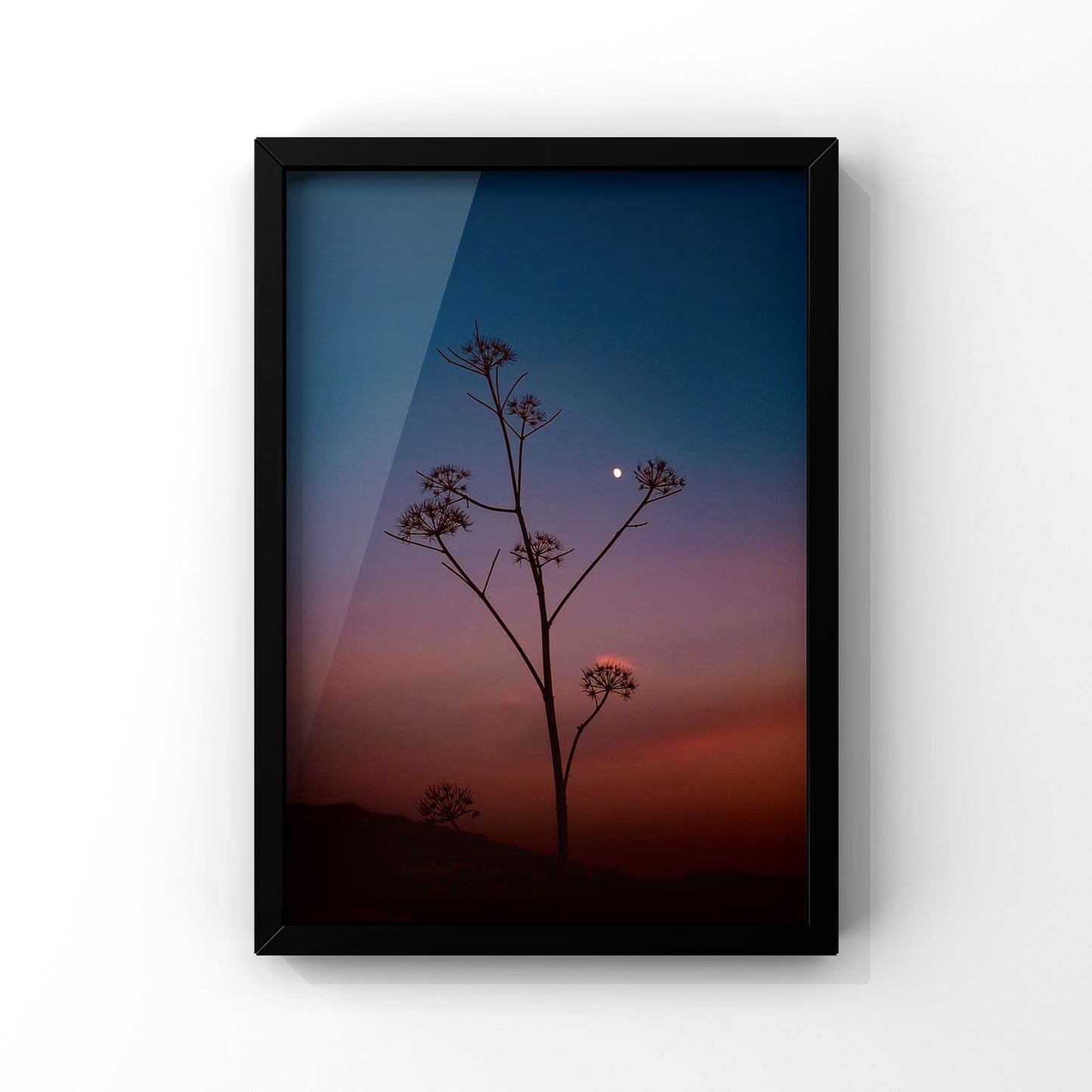 Wishful - Nature In Dana