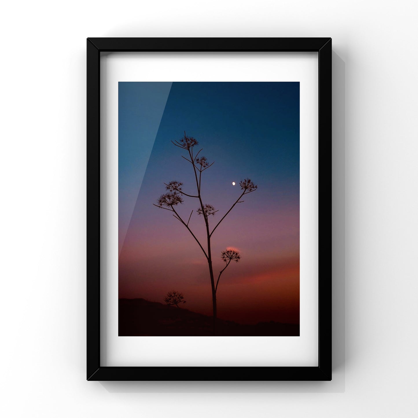 Wishful - Nature In Dana