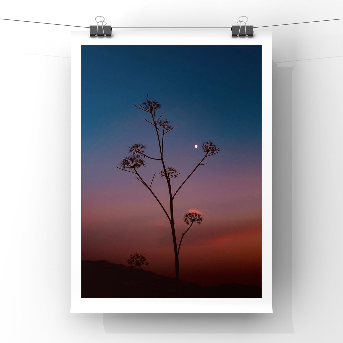 Wishful - Nature In Dana