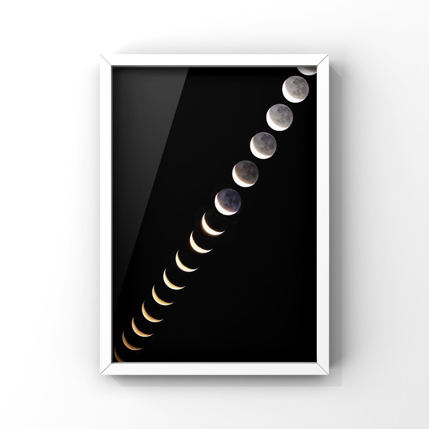 One Year Of Moon Phases