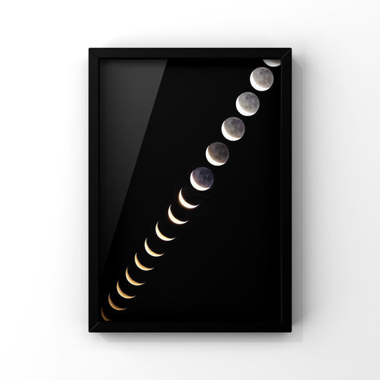 One Year Of Moon Phases