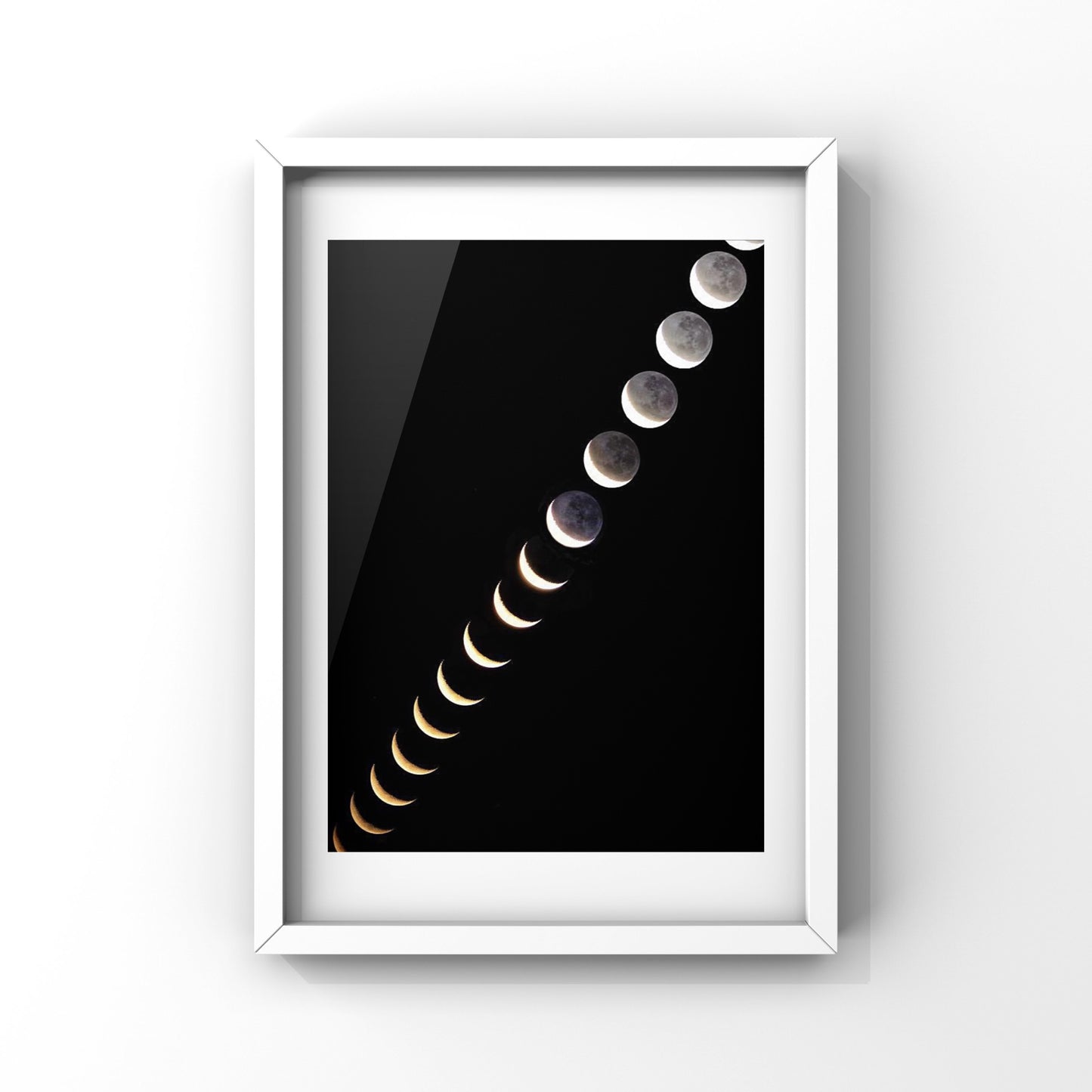 One Year Of Moon Phases