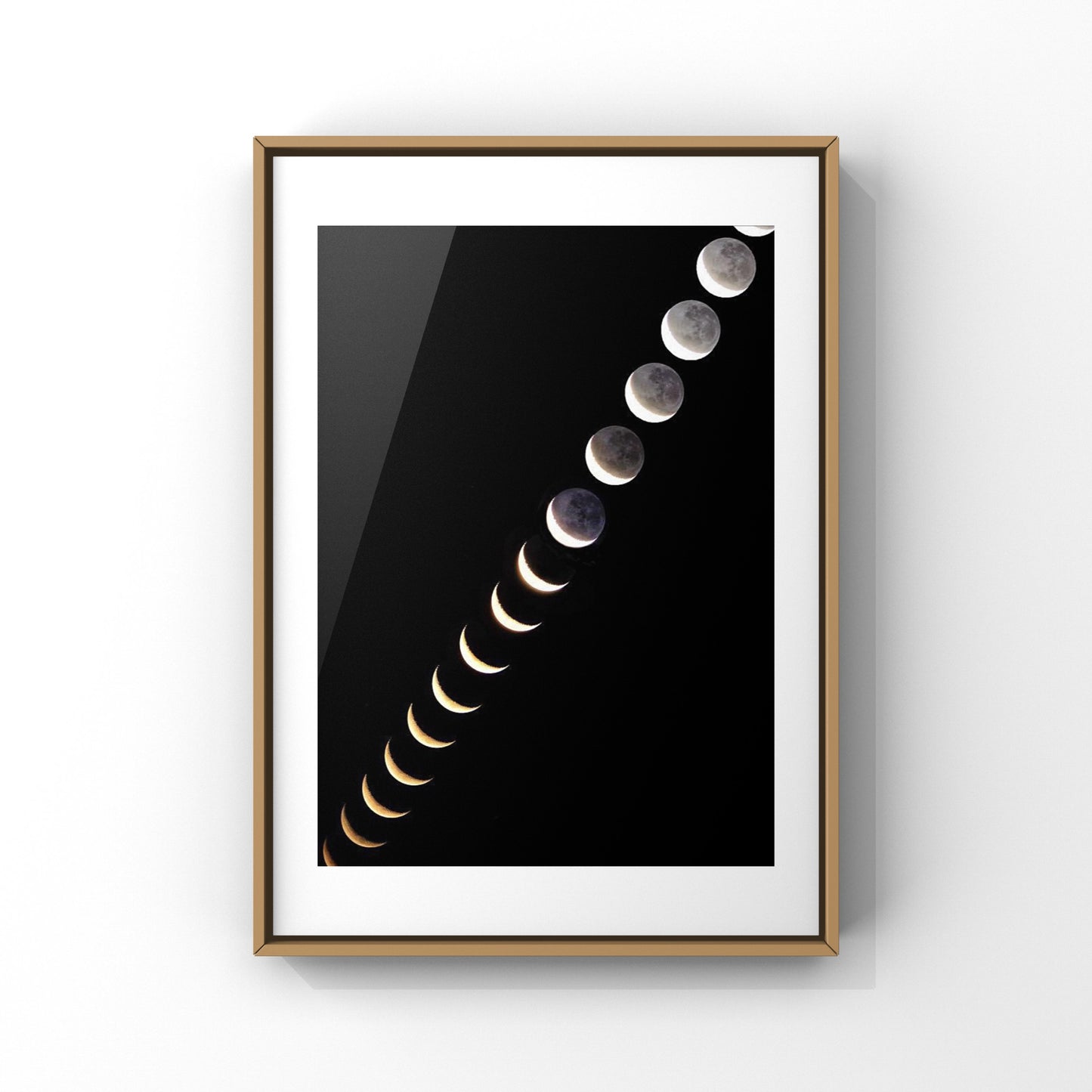 One Year Of Moon Phases