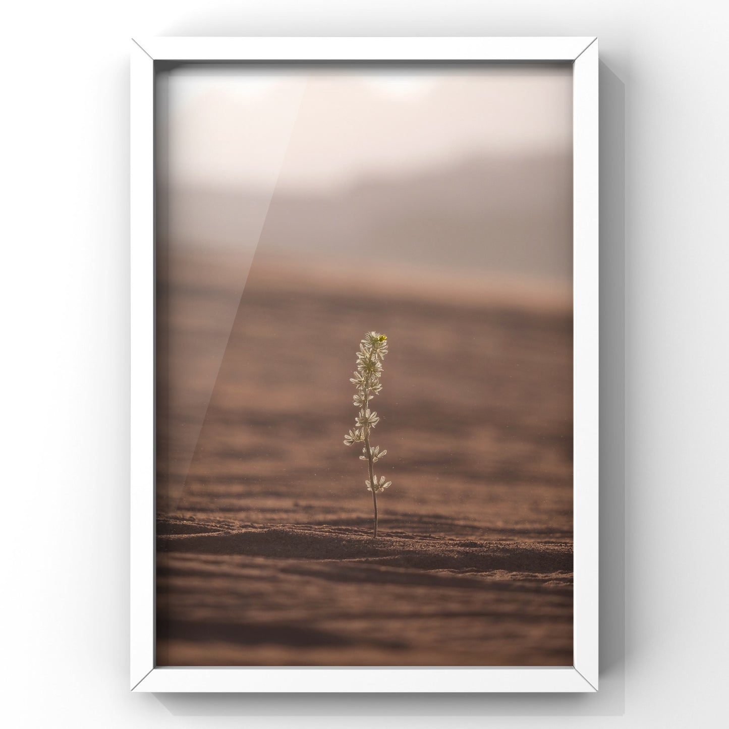 In Stillness The Earth Remembers IV