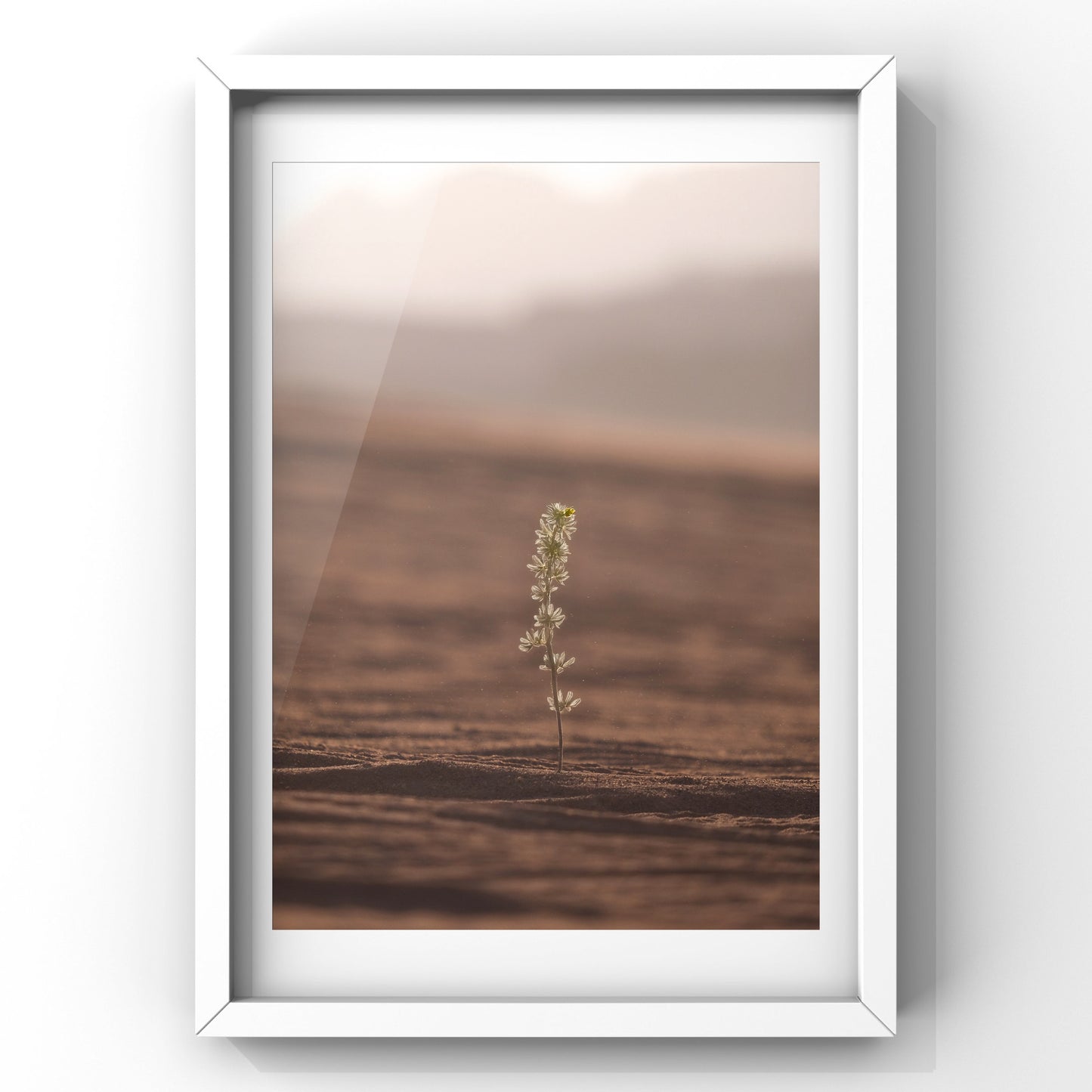 In Stillness The Earth Remembers IV