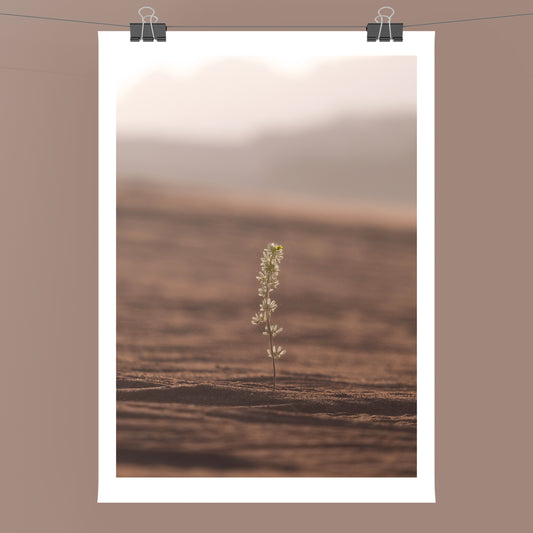 In Stillness The Earth Remembers IV