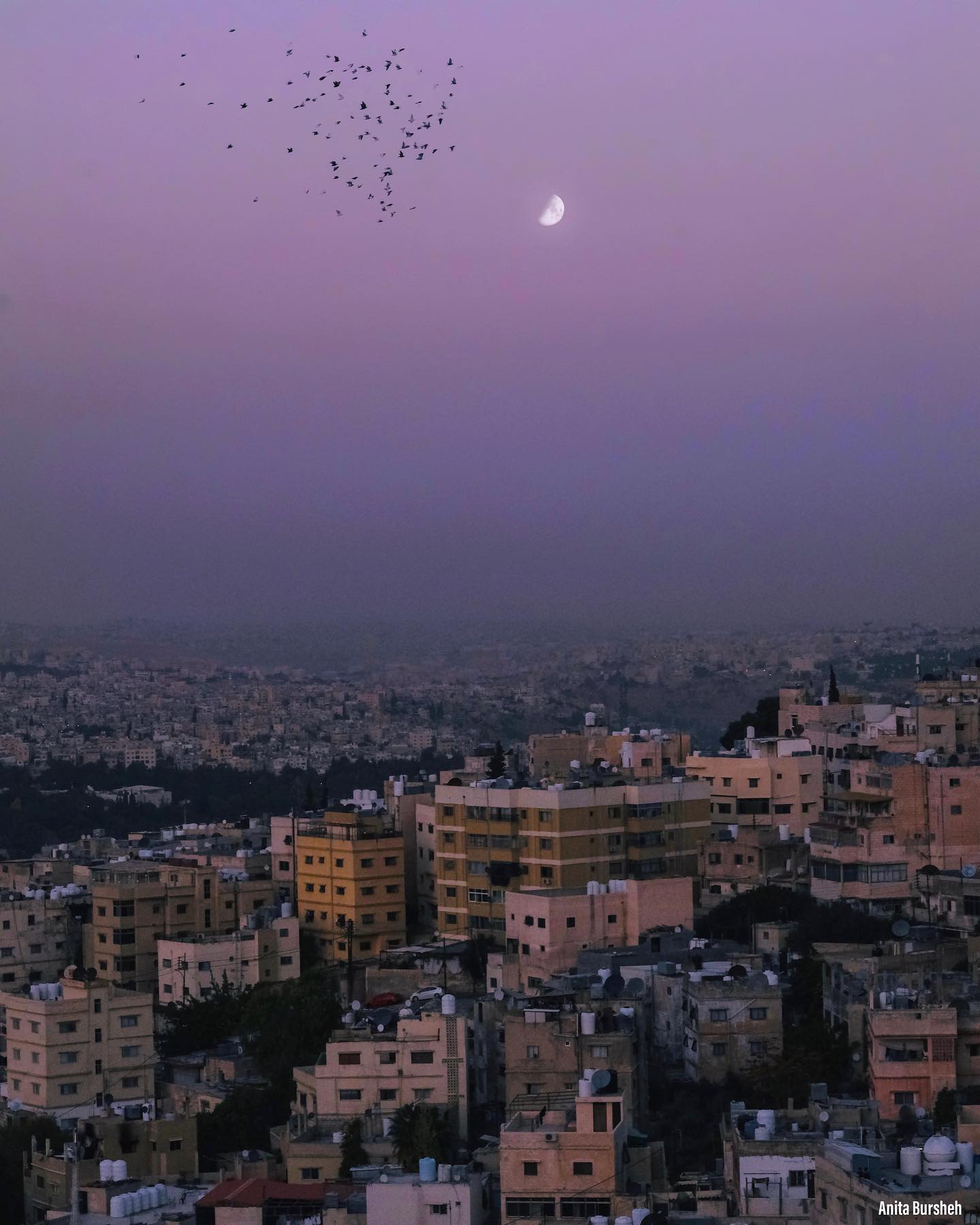 Is There Anybody Out There?