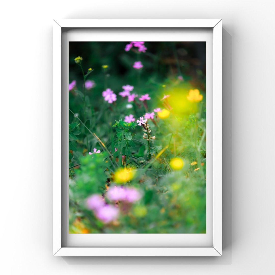 Levantine Kingdom of Tiny Flowers XV
