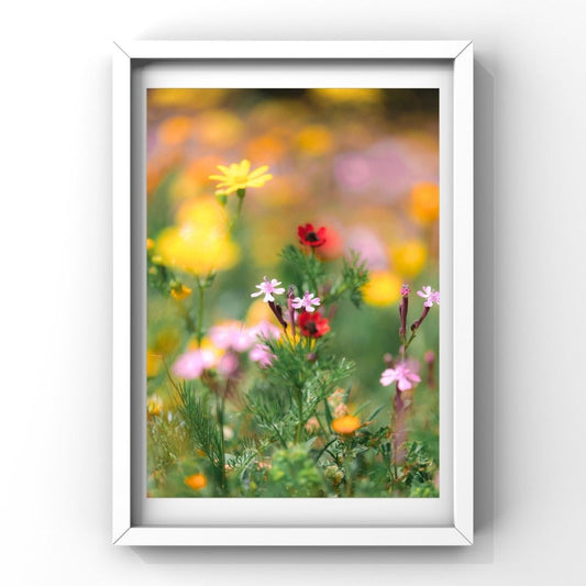 Levantine Kingdom of Tiny Flowers IX