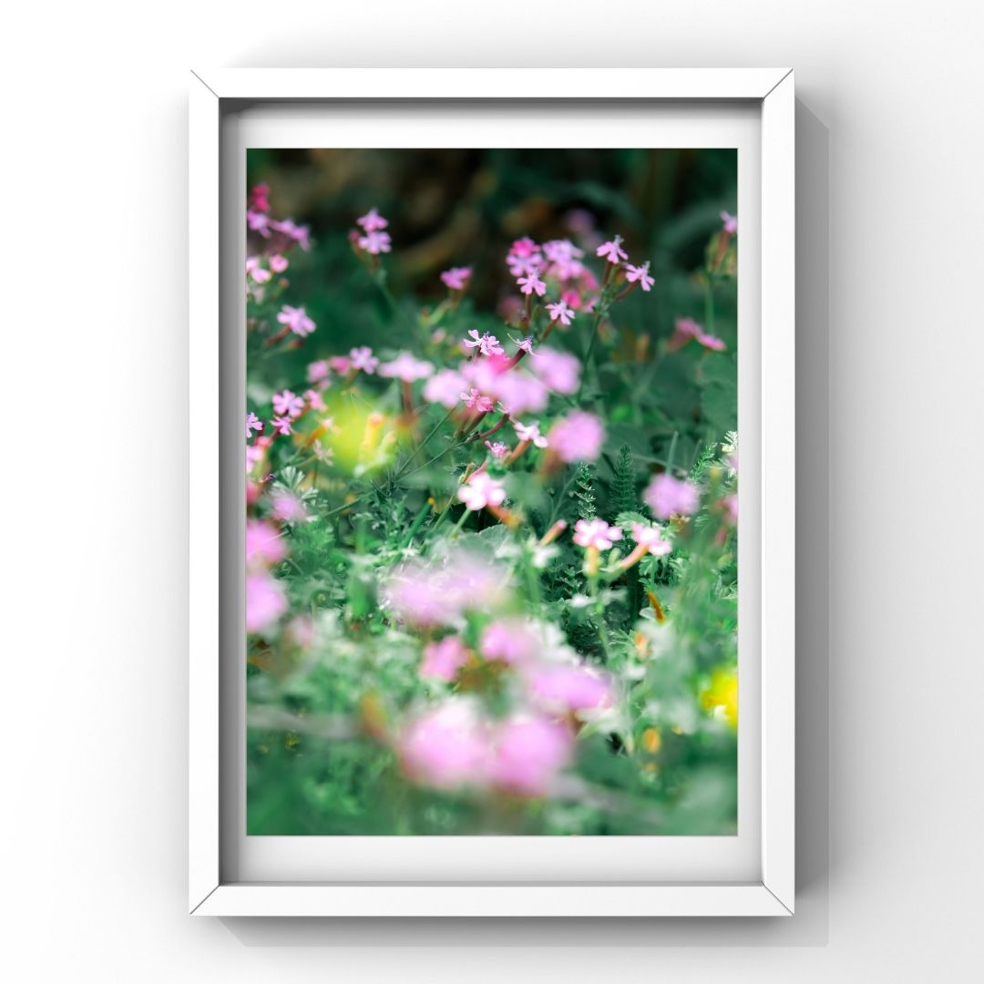 Levantine Kingdom of Tiny Flowers XIII