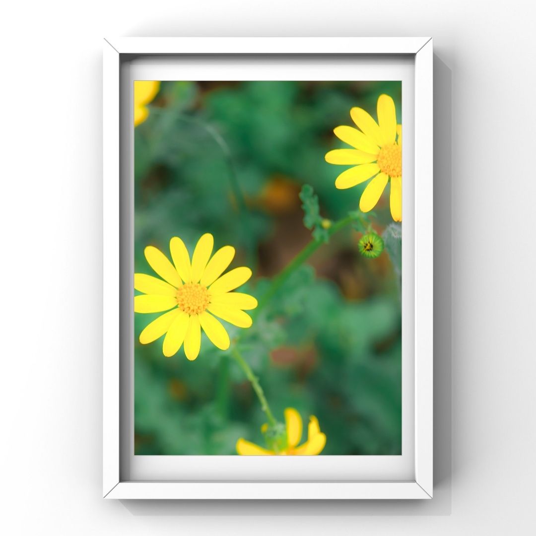 Levantine Kingdom of Tiny Flowers XIV