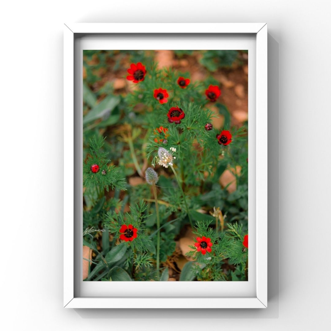 Levantine Kingdom of Tiny Flowers XVIII