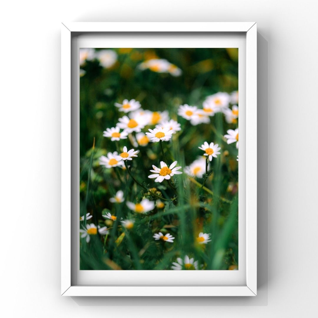 Levantine Kingdom of Tiny Flowers VI