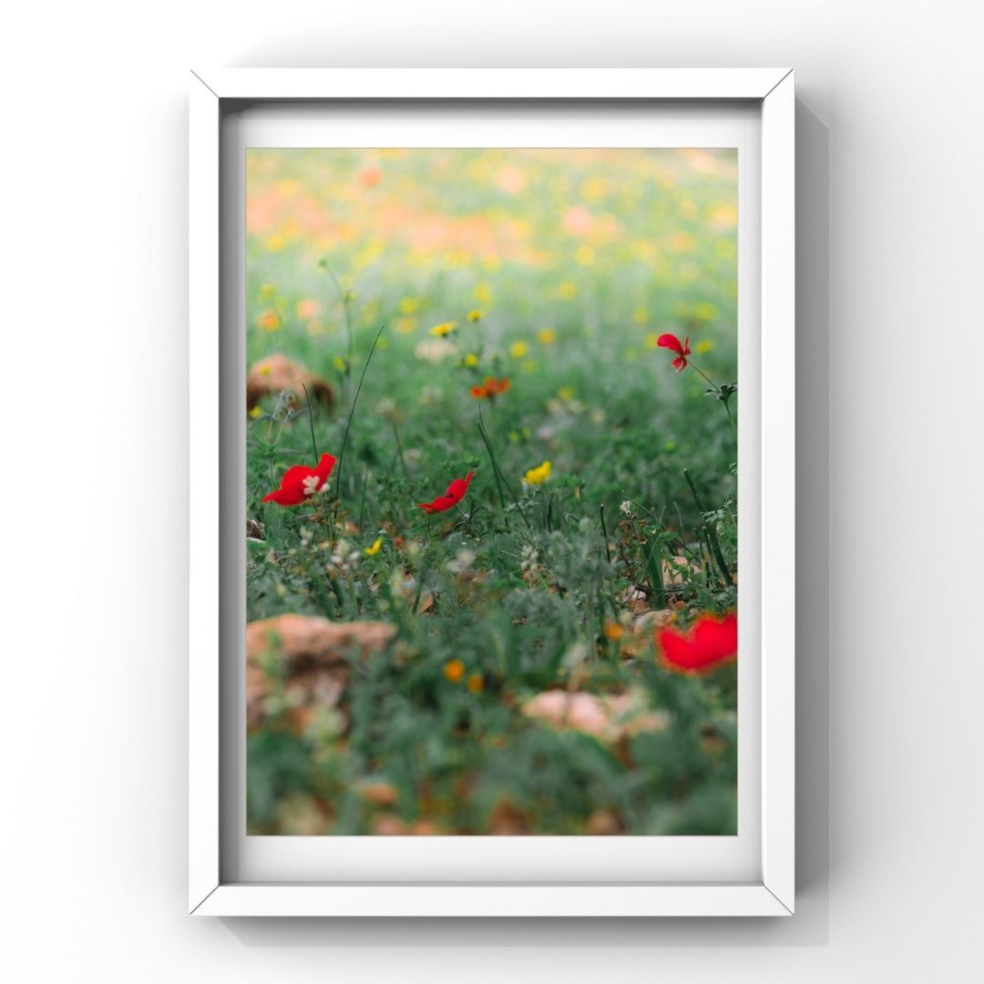 Levantine Kingdom of Tiny Flowers XVI