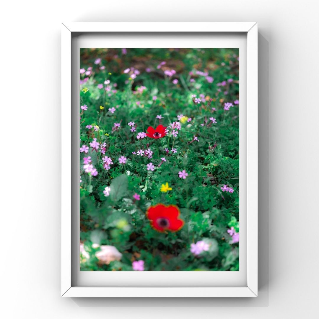 Levantine Kingdom of Tiny Flowers VII