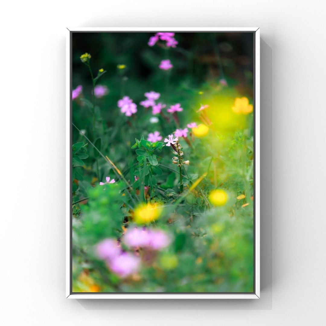 Levantine Kingdom of Tiny Flowers XV