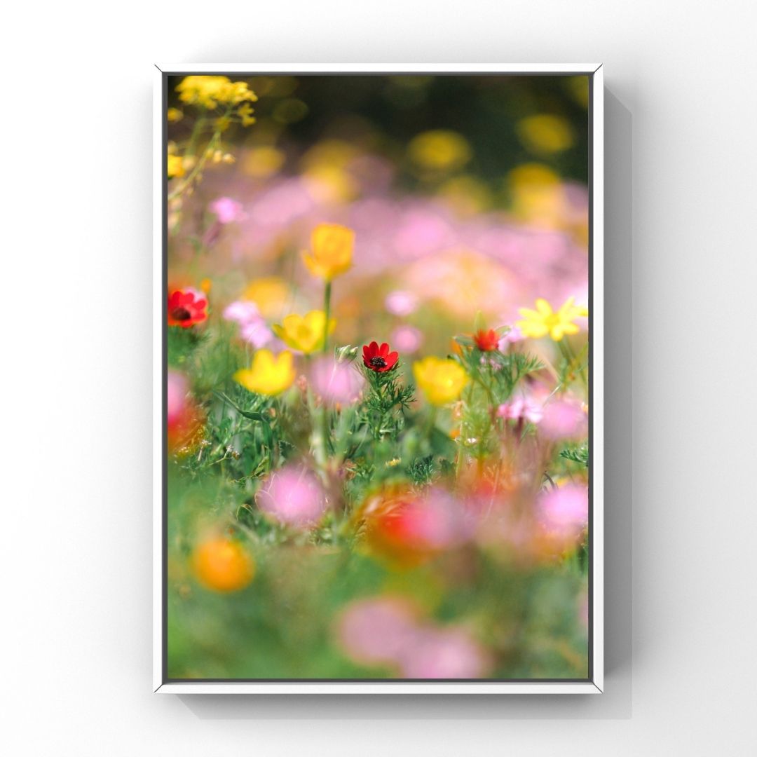 Levantine Kingdom of Tiny Flowers X