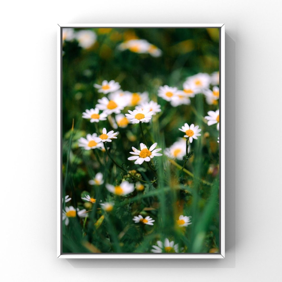 Levantine Kingdom of Tiny Flowers VI