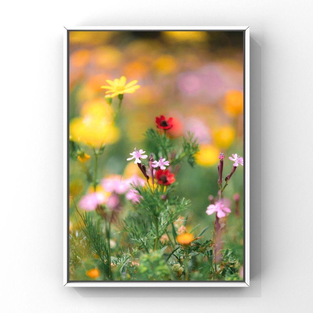 Levantine Kingdom of Tiny Flowers IX
