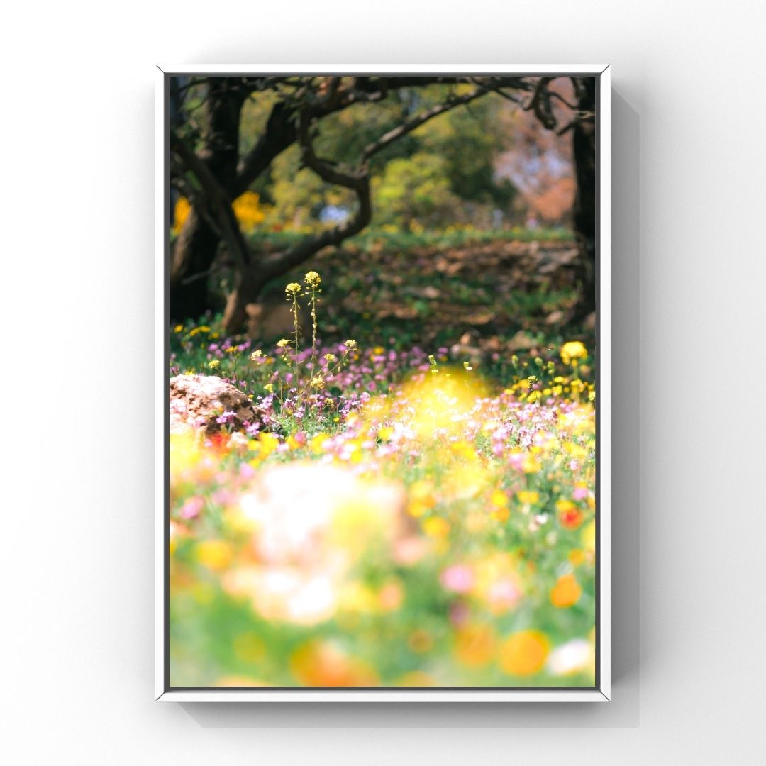 Levantine Kingdom of Tiny Flowers XII
