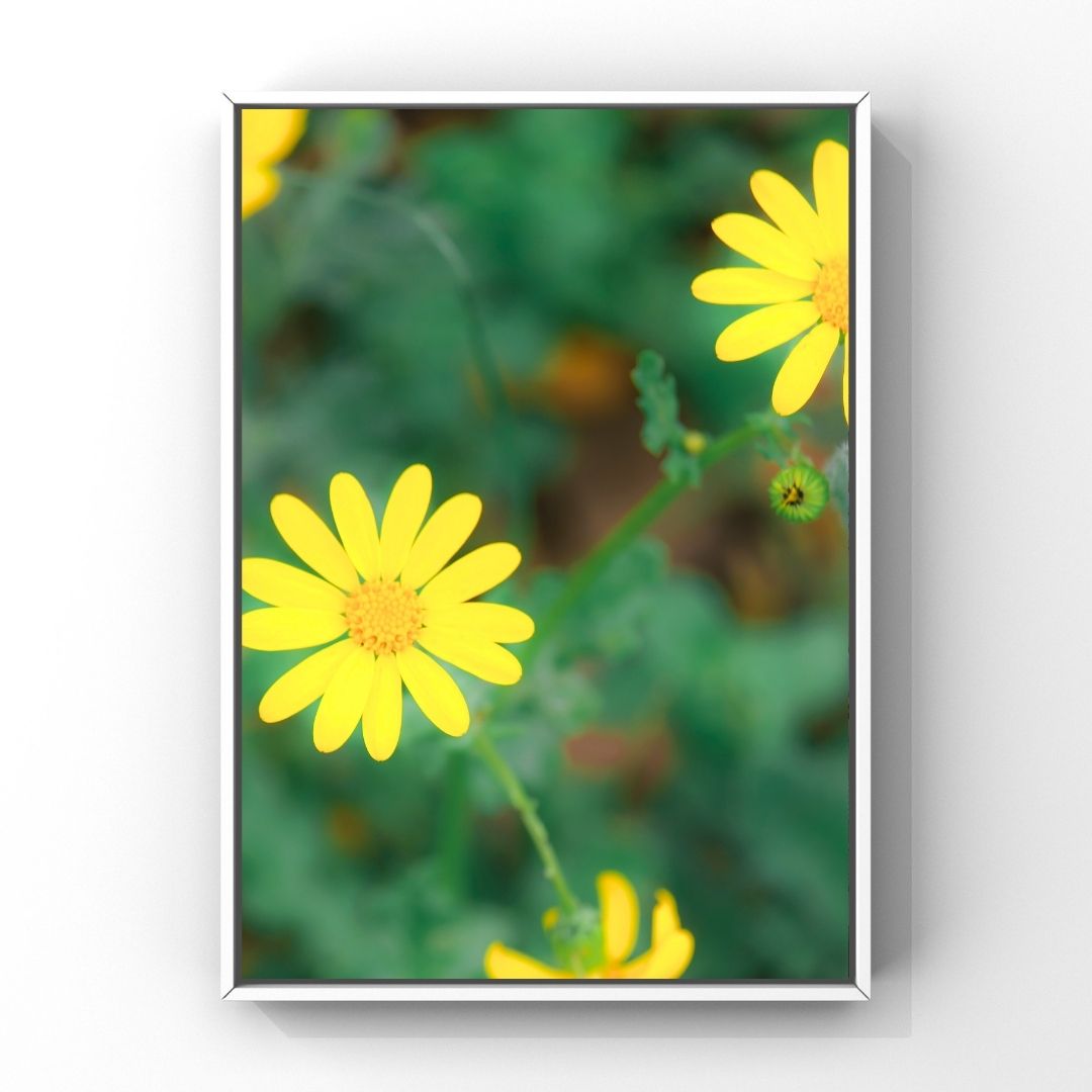 Levantine Kingdom of Tiny Flowers XIV