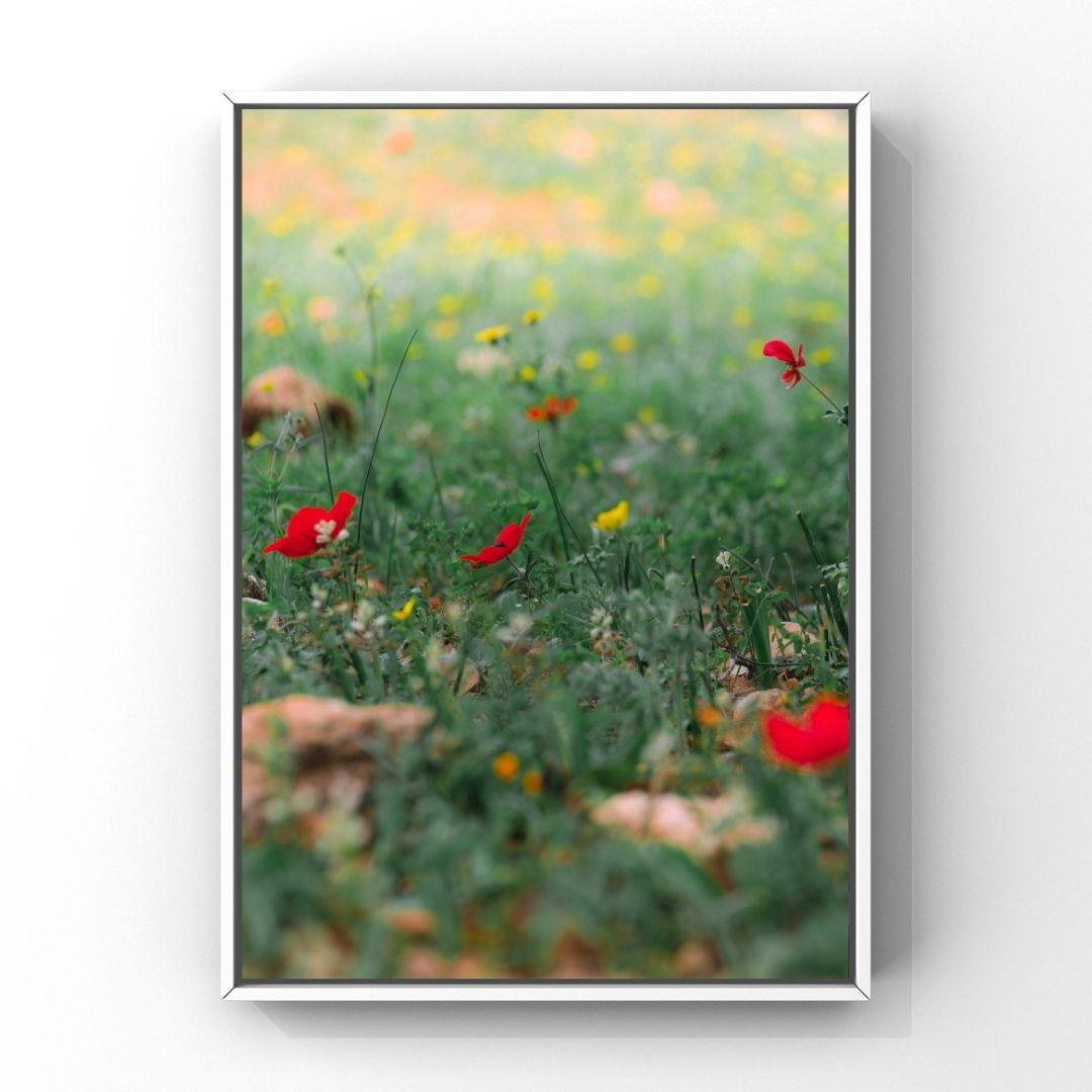 Levantine Kingdom of Tiny Flowers XVI