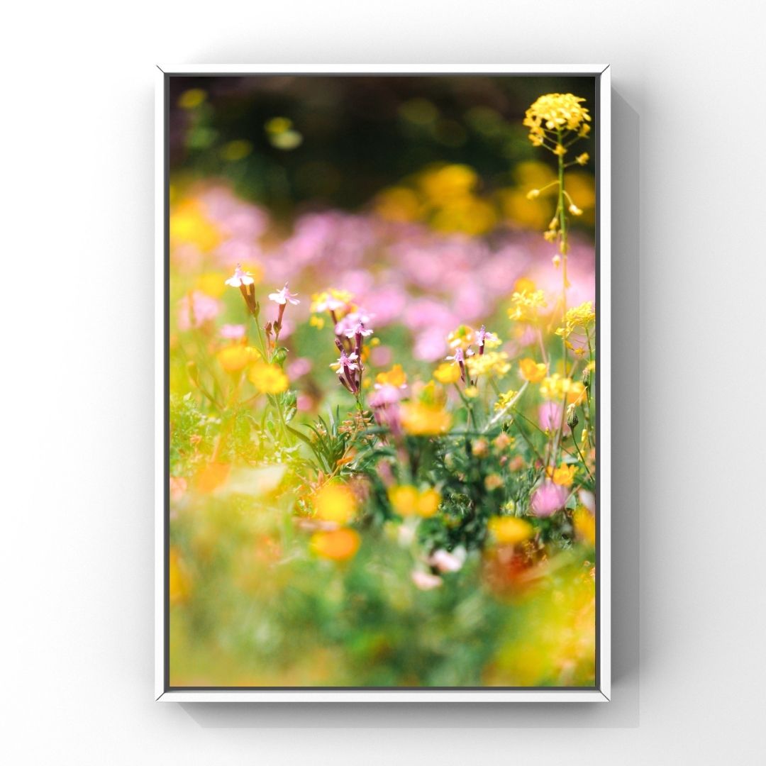 Levantine Kingdom of Tiny Flowers XIX