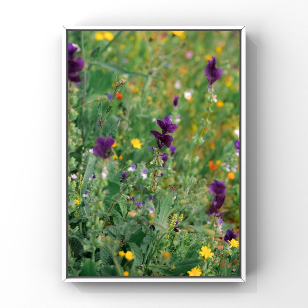 Levantine Kingdom of Tiny Flowers IV