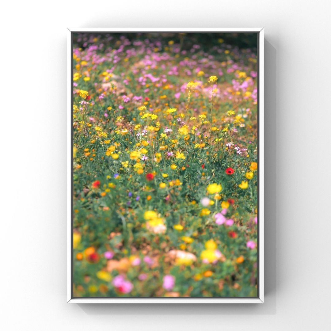 Levantine Kingdom of Tiny Flowers II