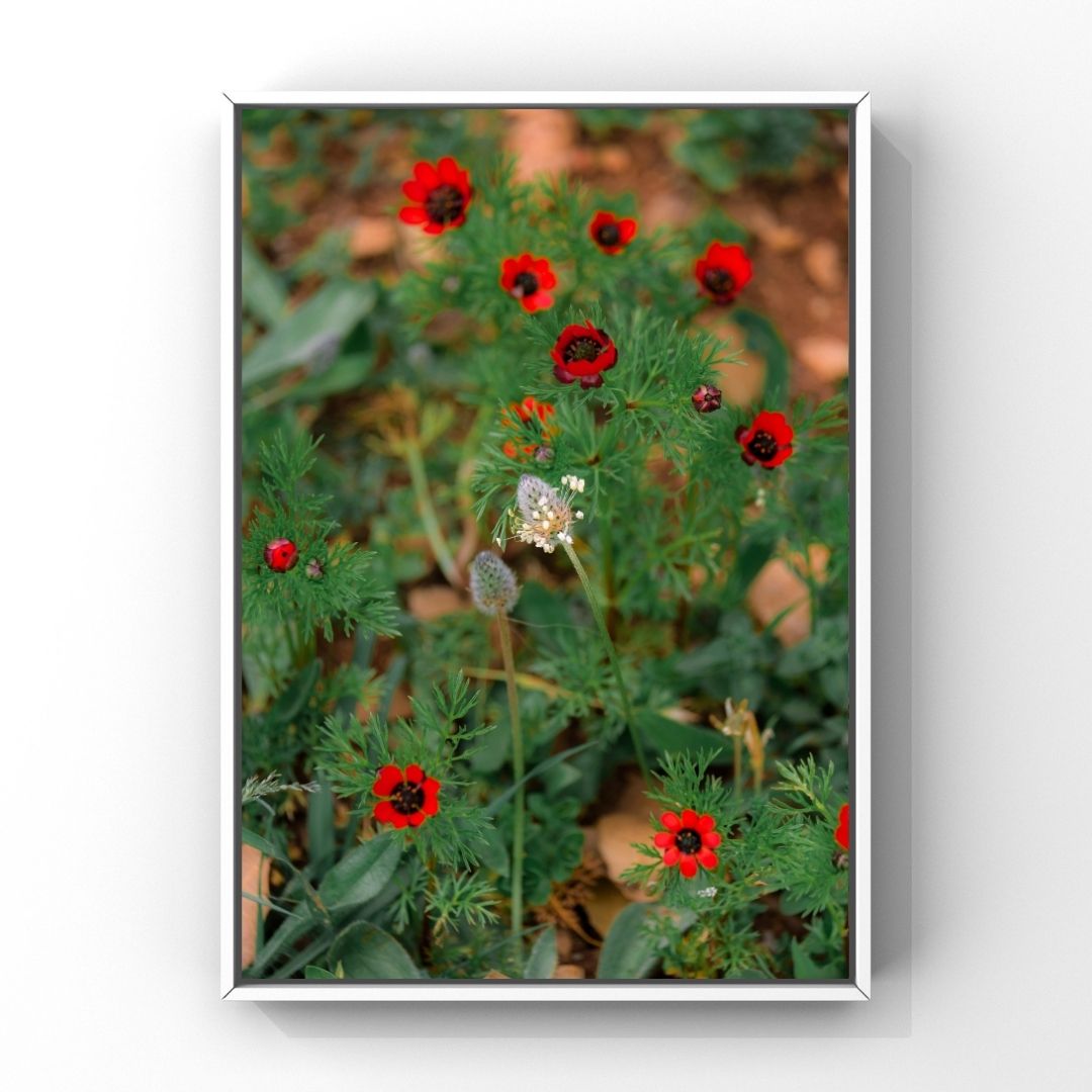 Levantine Kingdom of Tiny Flowers XVIII