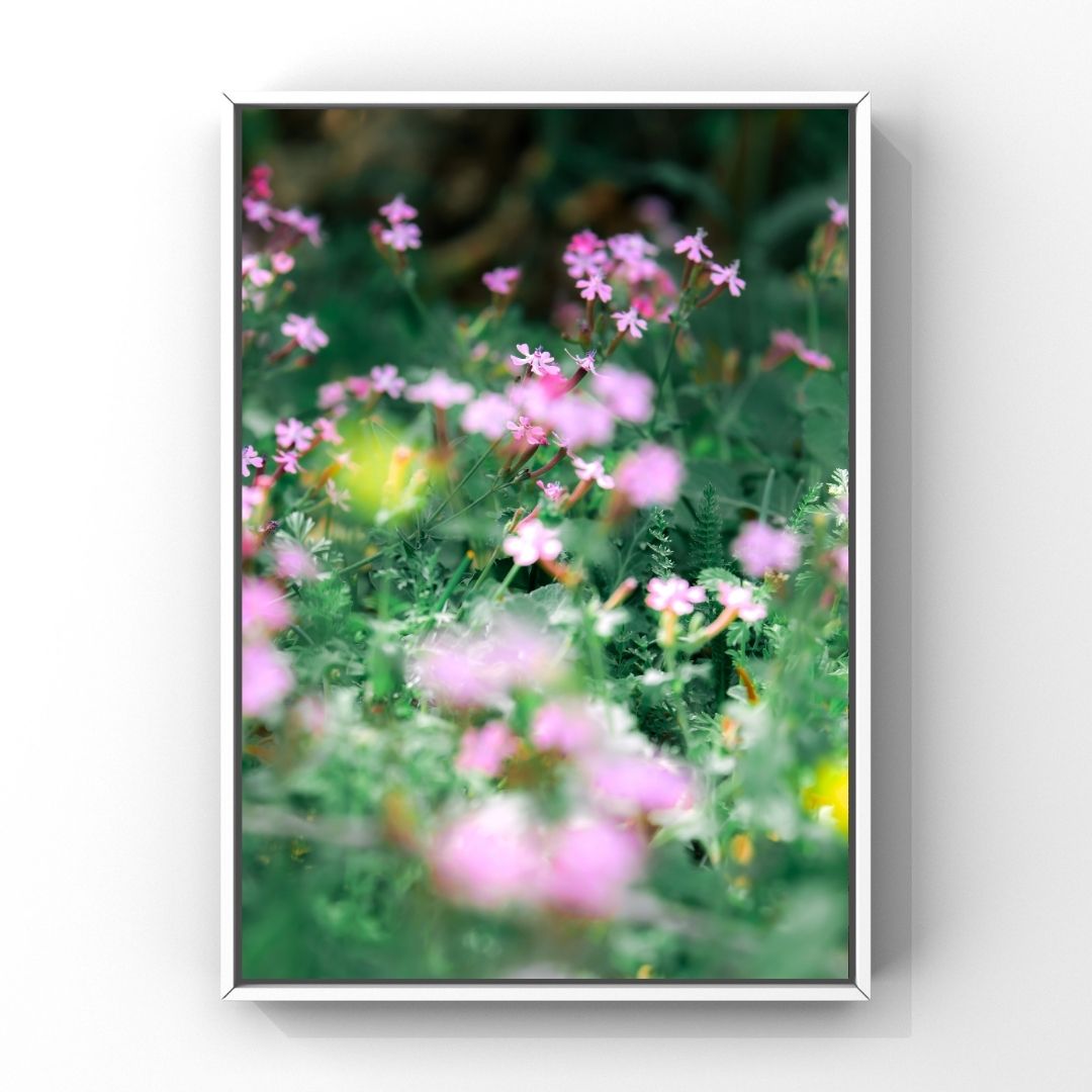 Levantine Kingdom of Tiny Flowers XIII