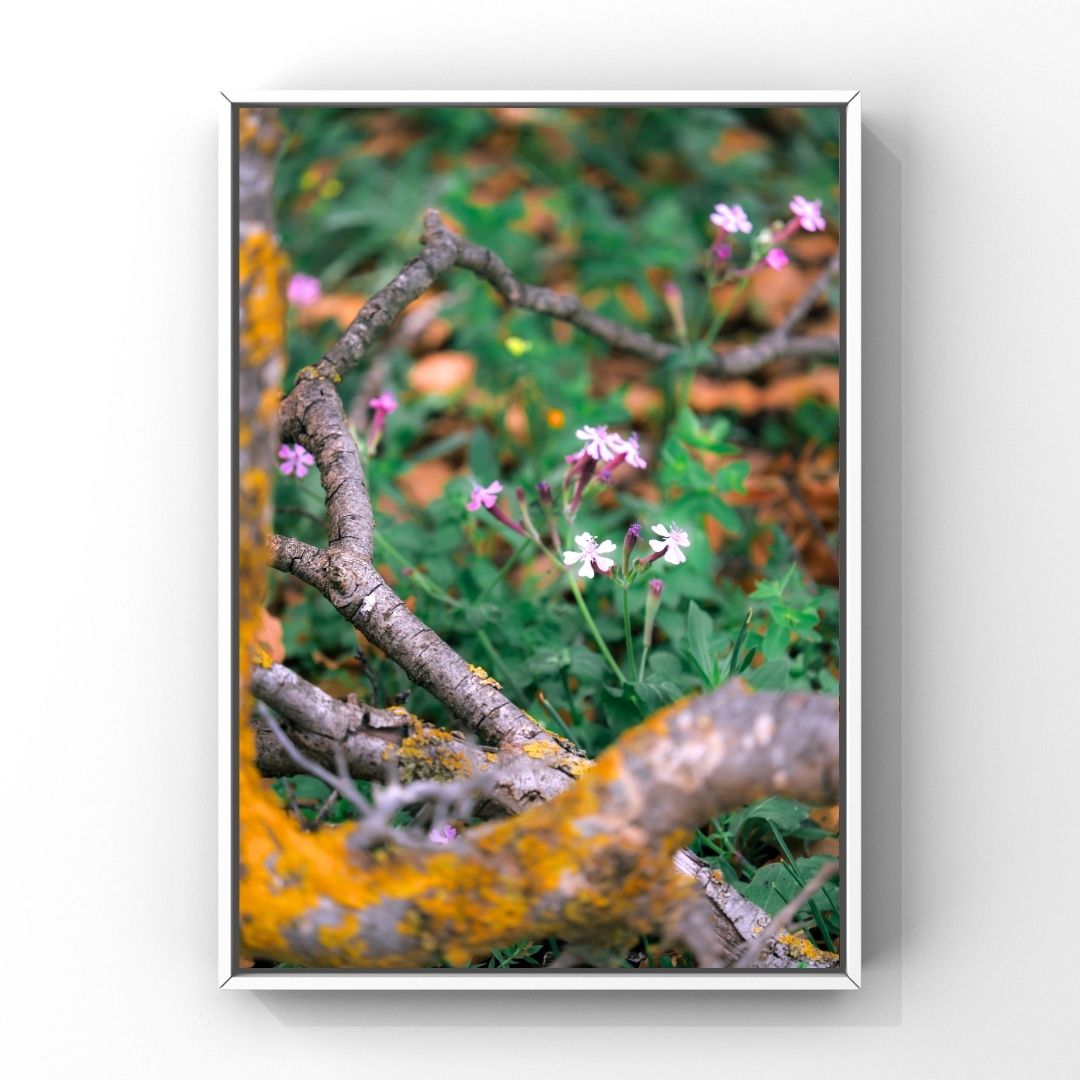 Levantine Kingdom of Tiny Flowers XVII